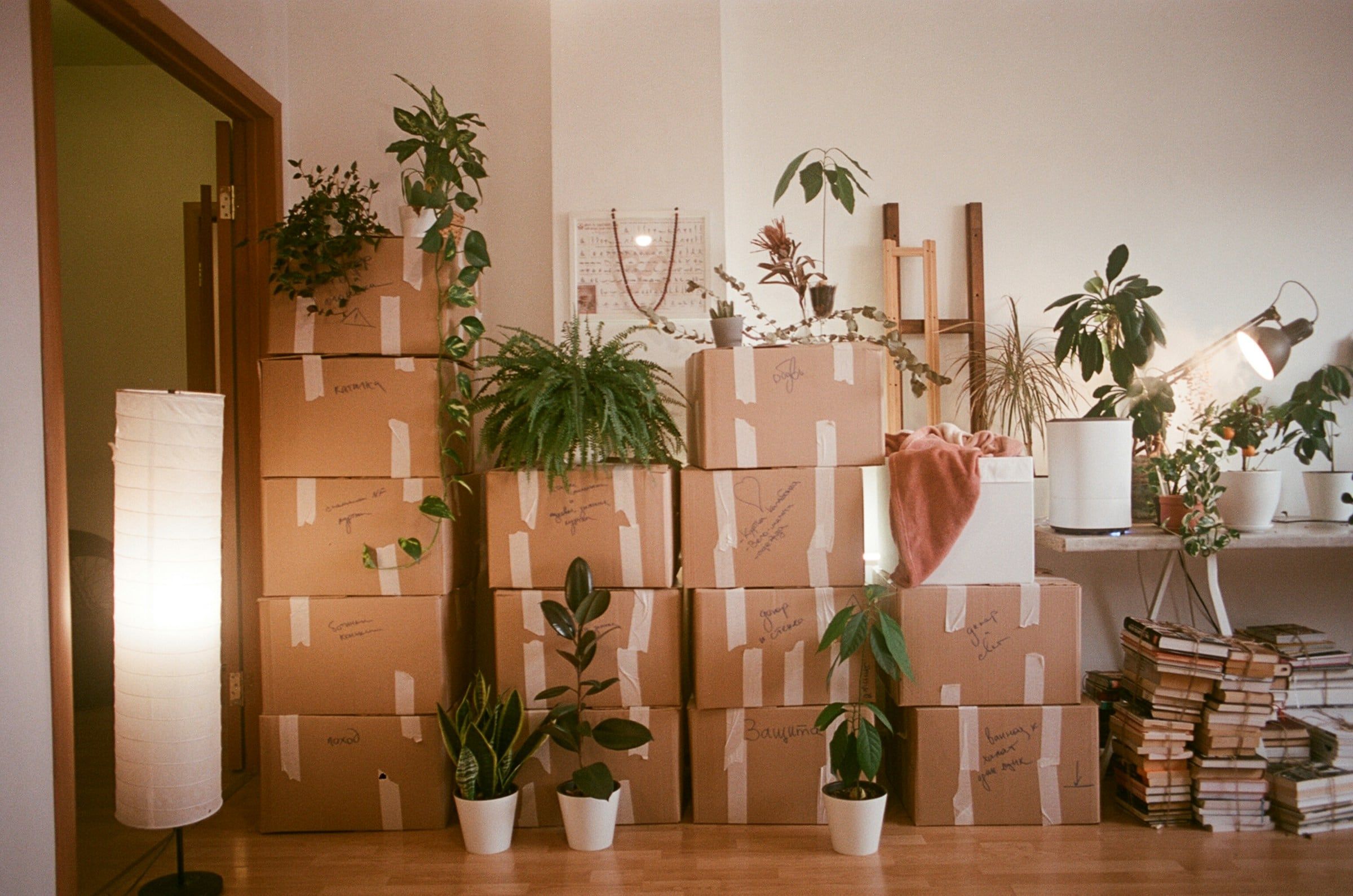Bright apartment with labeled moving boxes stacked by the window